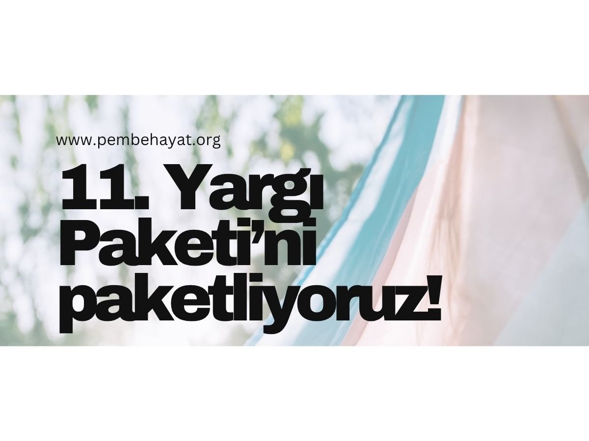 11. Yargı Paketini Paketliyoruz | kaosgl.org’dan Oğulcan Özgenç: “Yargı paketi, nefret cinayetlerinin bahanesini hukuki zemine taşımaya niyetleniyor.”