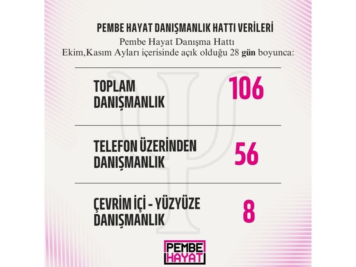 Pembe Hayat, Ekim-Kasım Aylarında Toplam 106 Danışmanlık Verdi