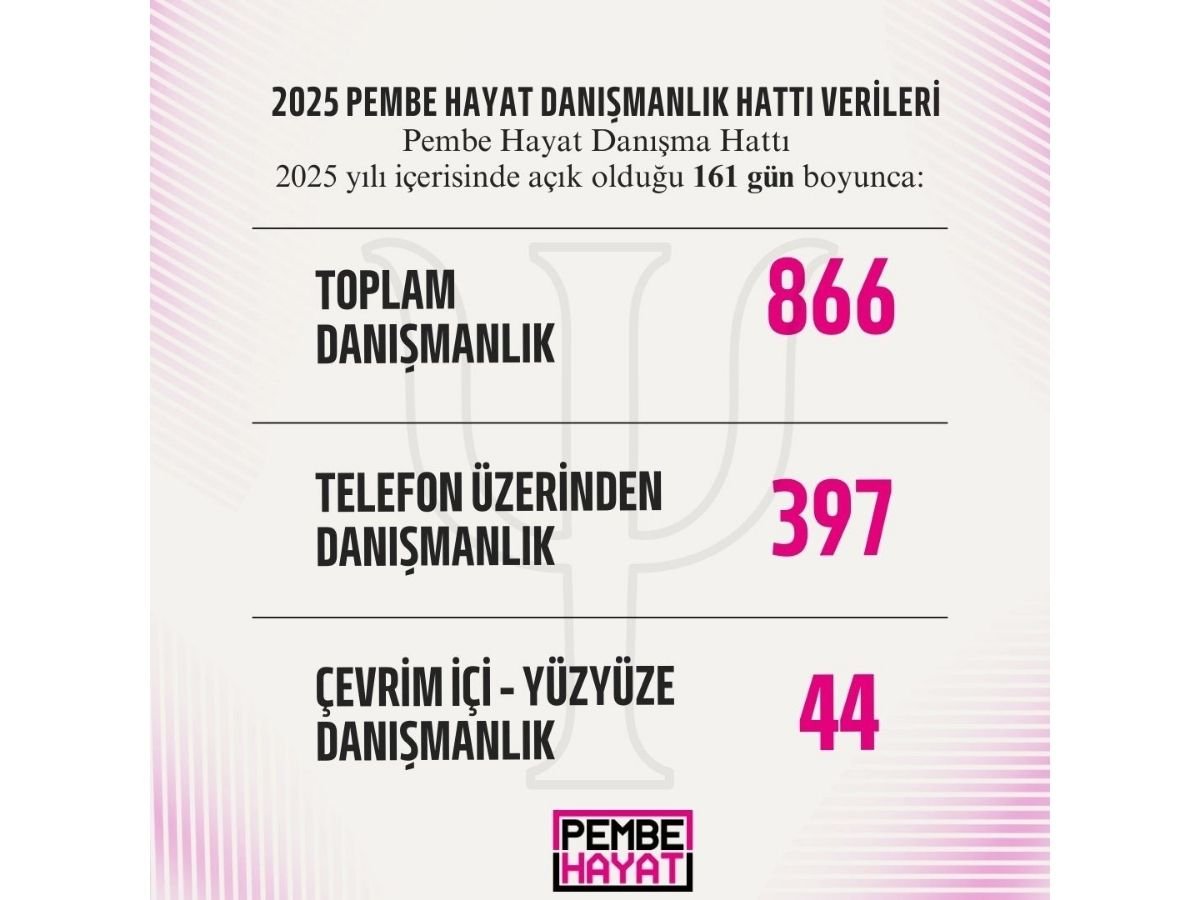 Pembe Hayat, 2025 Yılında Toplam 866 Danışmanlık Verdi